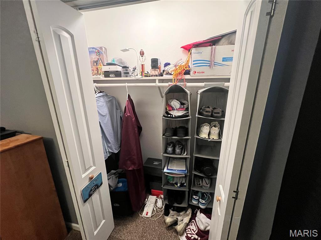 245 Summers Trace Belleville, IL 62220 - Photo 17 of 43