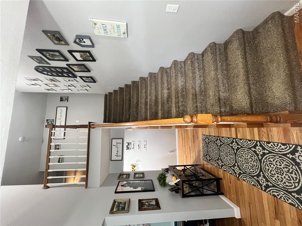 245 Summers Trace Belleville, IL 62220 - Photo 2 of 43