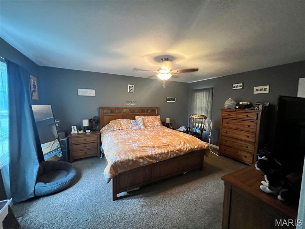 245 Summers Trace Belleville, IL 62220 - Photo 31 of 43