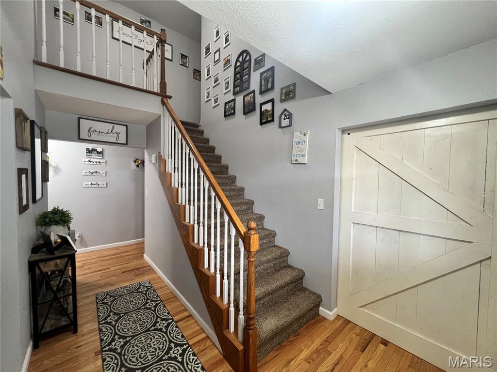 245 Summers Trace Belleville, IL 62220 - Photo 4 of 43