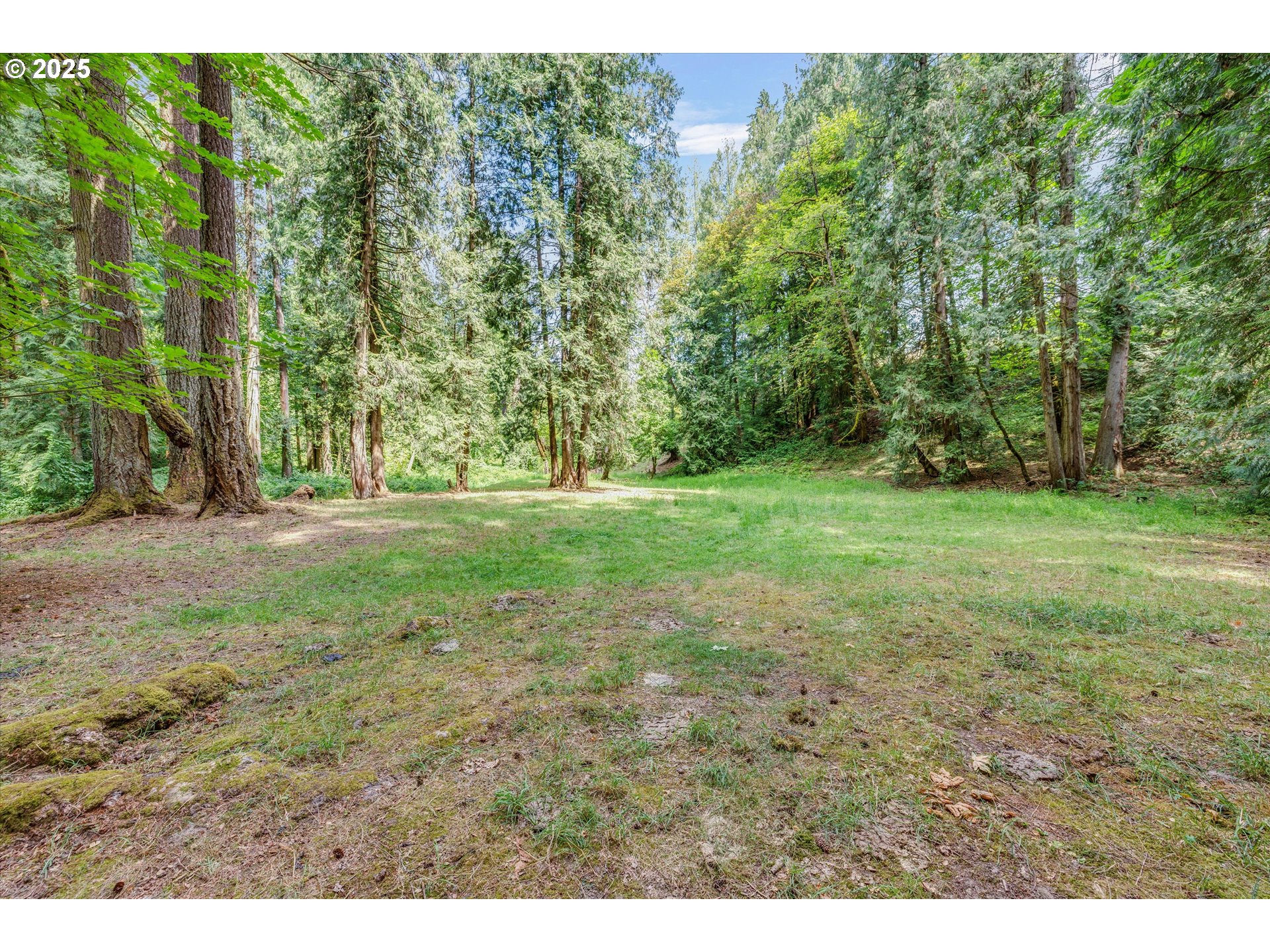 21303 South Central Point Road Oregon City, OR 97045 - Photo 14 of 48 a view of a field with trees in the background
