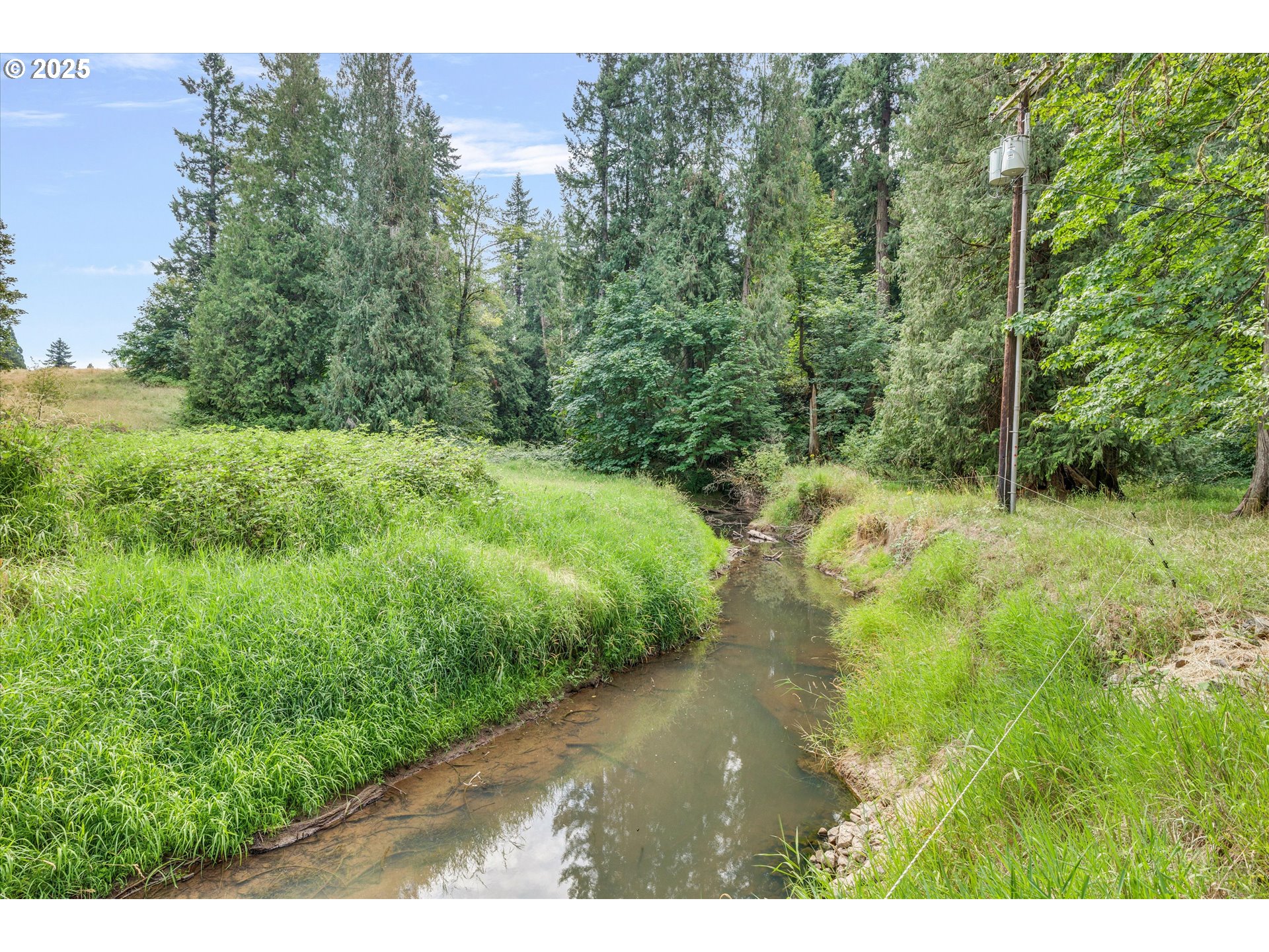 21303 South Central Point Road Oregon City, OR 97045 - Photo 15 of 48 a view of a yard with plants and a bench