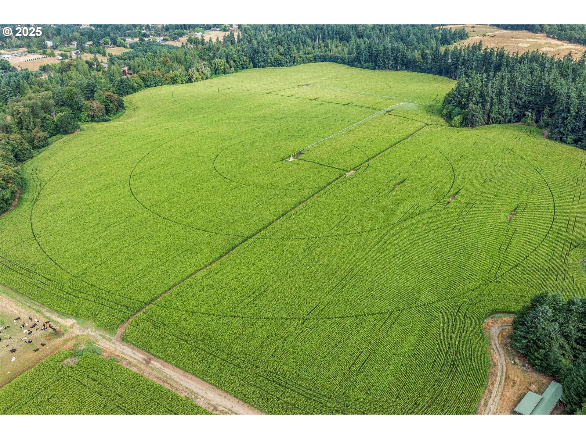 21303 South Central Point Road Oregon City, OR 97045 - Photo 7 of 48 a view of a tennis court