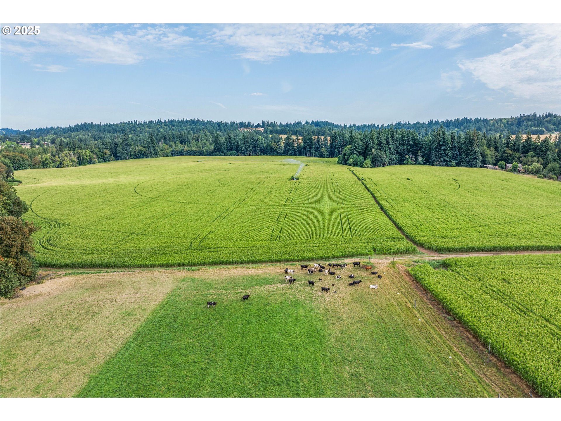 21303 South Central Point Road Oregon City, OR 97045 - Photo 8 of 48 a view of a tennis court