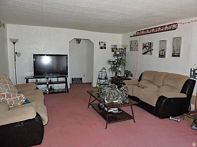 355 South Center Street Delta, UT 84624 - Photo 2 of 21 Living area featuring an arched doorway, textured white walls, and a flat ceiling