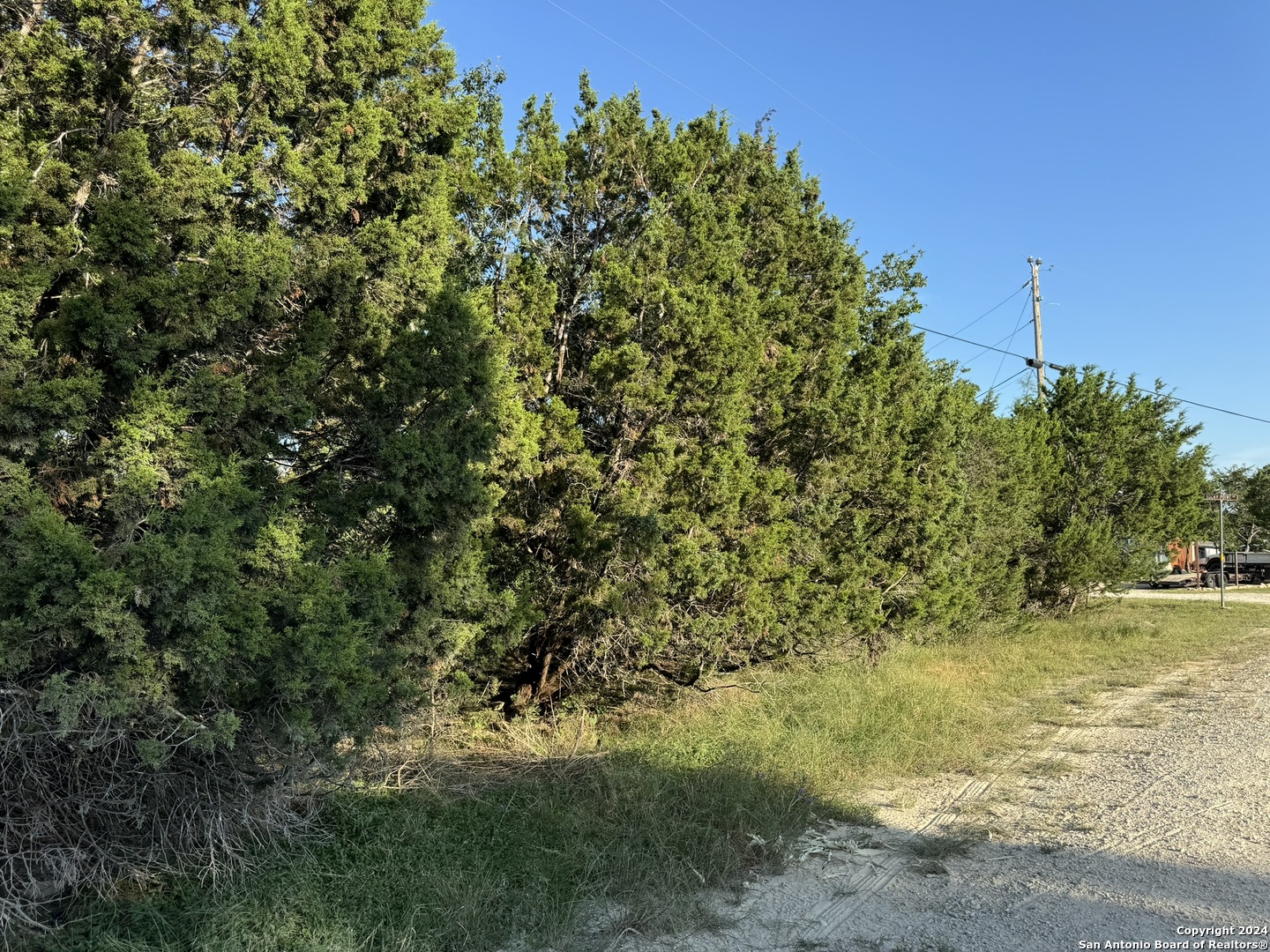 Lot 10 Rocky Point Drive Spring Branch, TX 78070 - Photo 3 of 9 a view of a yard with a tree