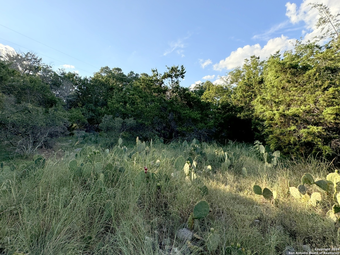 Lot 10 Rocky Point Drive Spring Branch, TX 78070 - Photo 4 of 9 a view of a lush green forest with lots of trees