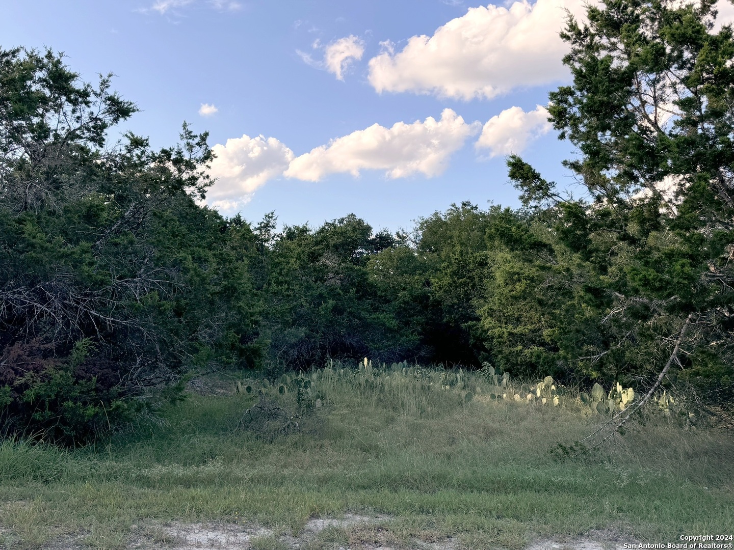Lot 10 Rocky Point Drive Spring Branch, TX 78070 - Photo 5 of 9 a view of a bunch of trees in a field