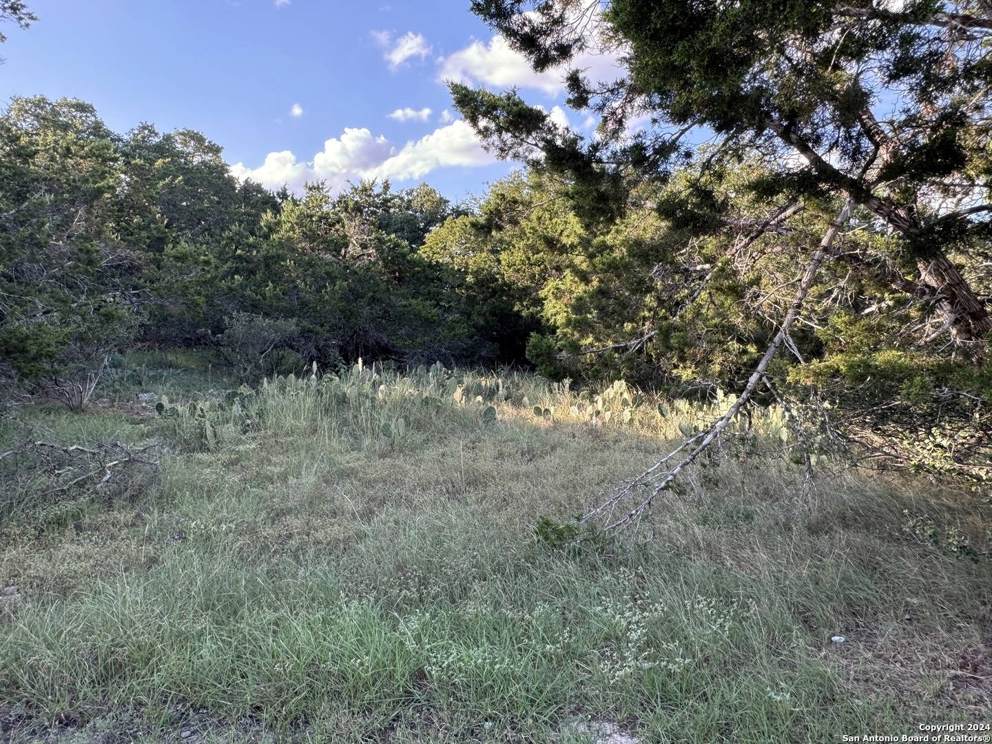 Lot 10 Rocky Point Drive Spring Branch, TX 78070 - Photo 8 of 9 a view of a yard with a tree