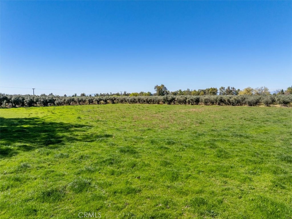 24840 South Corning, CA 96021 - Photo 52 of 69