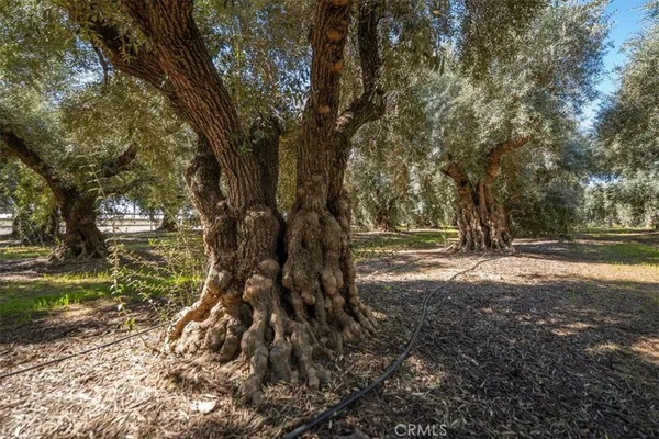 $725,000 | 24840 South, Corning, CA 96021