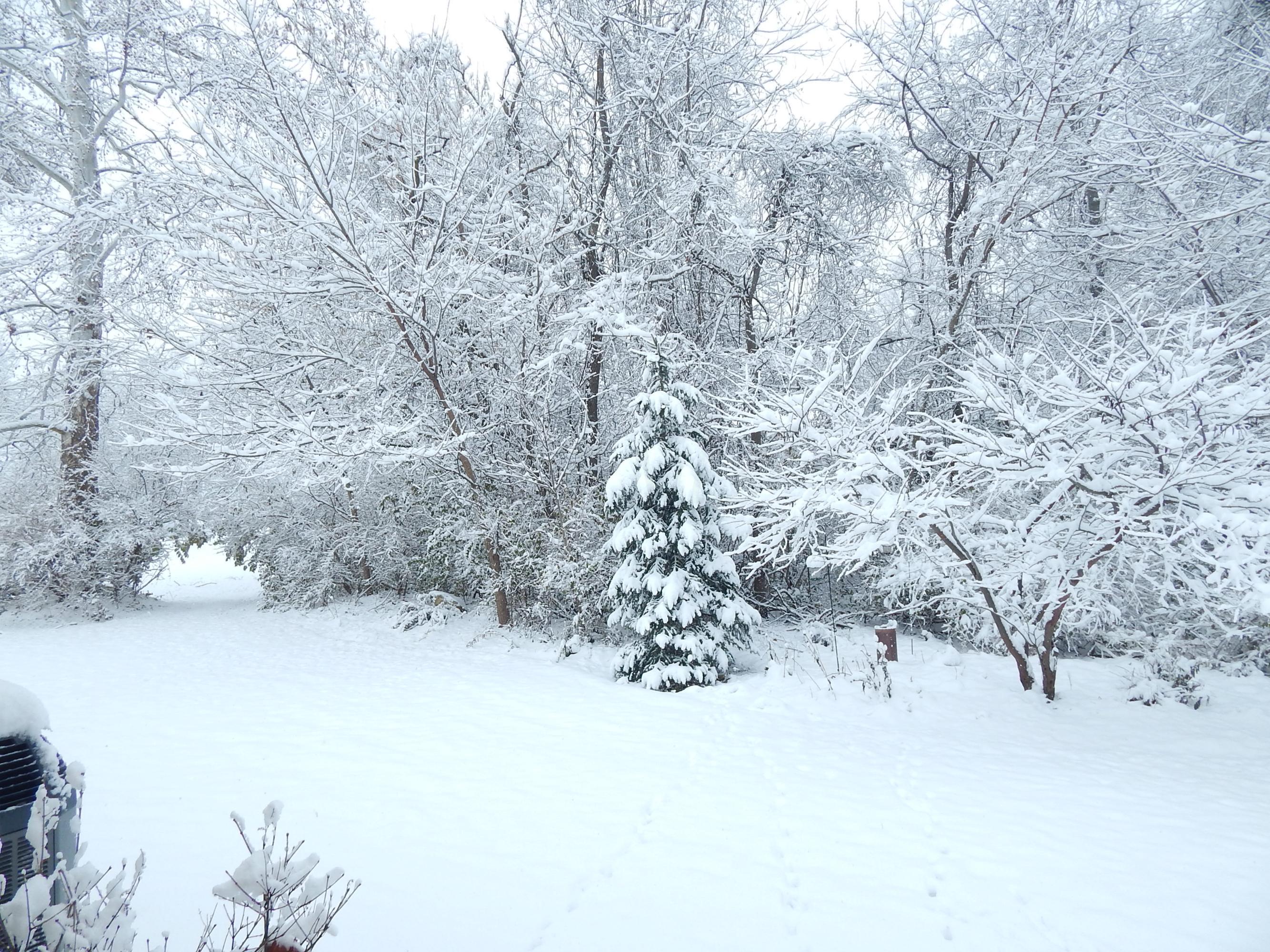 10011 Larcomb Road Ostrander, OH 43061 - Photo 3 of 18 Gallery Image 3