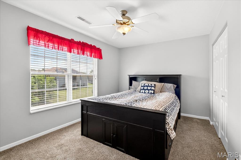 1618 Shadow Ridge Columbia, IL 62236 - Photo 23 of 50 Gallery Image 23