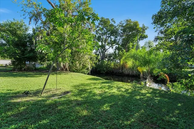 a view of a backyard with a potted plants and a fountain