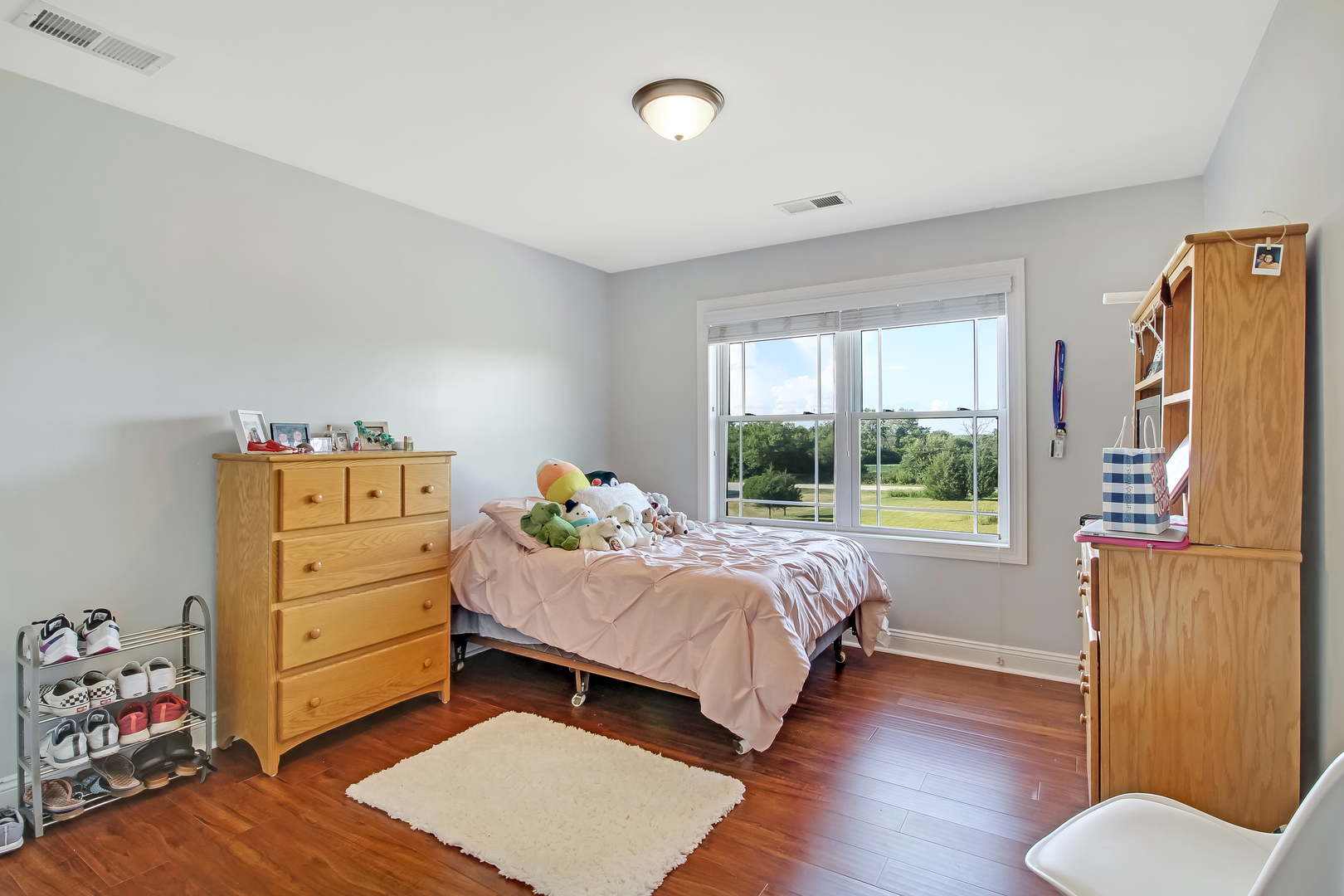 2345 East Offner Road Beecher, IL 60401 - Photo 15 of 27