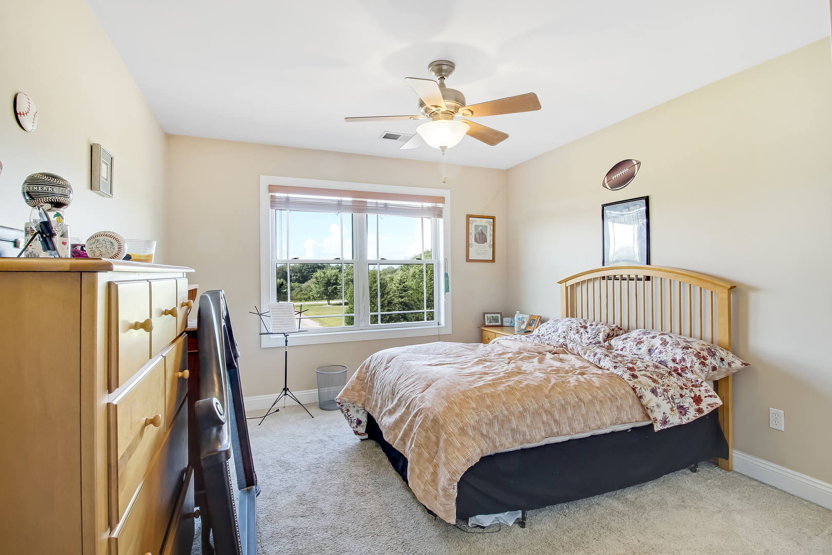 2345 East Offner Road Beecher, IL 60401 - Photo 16 of 27