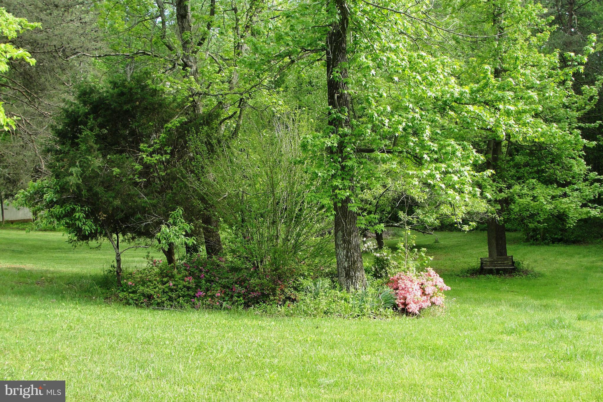 7472 Kennedy Road Nokesville, VA 20181 - Photo 25 of 30 Exterior (Rear)