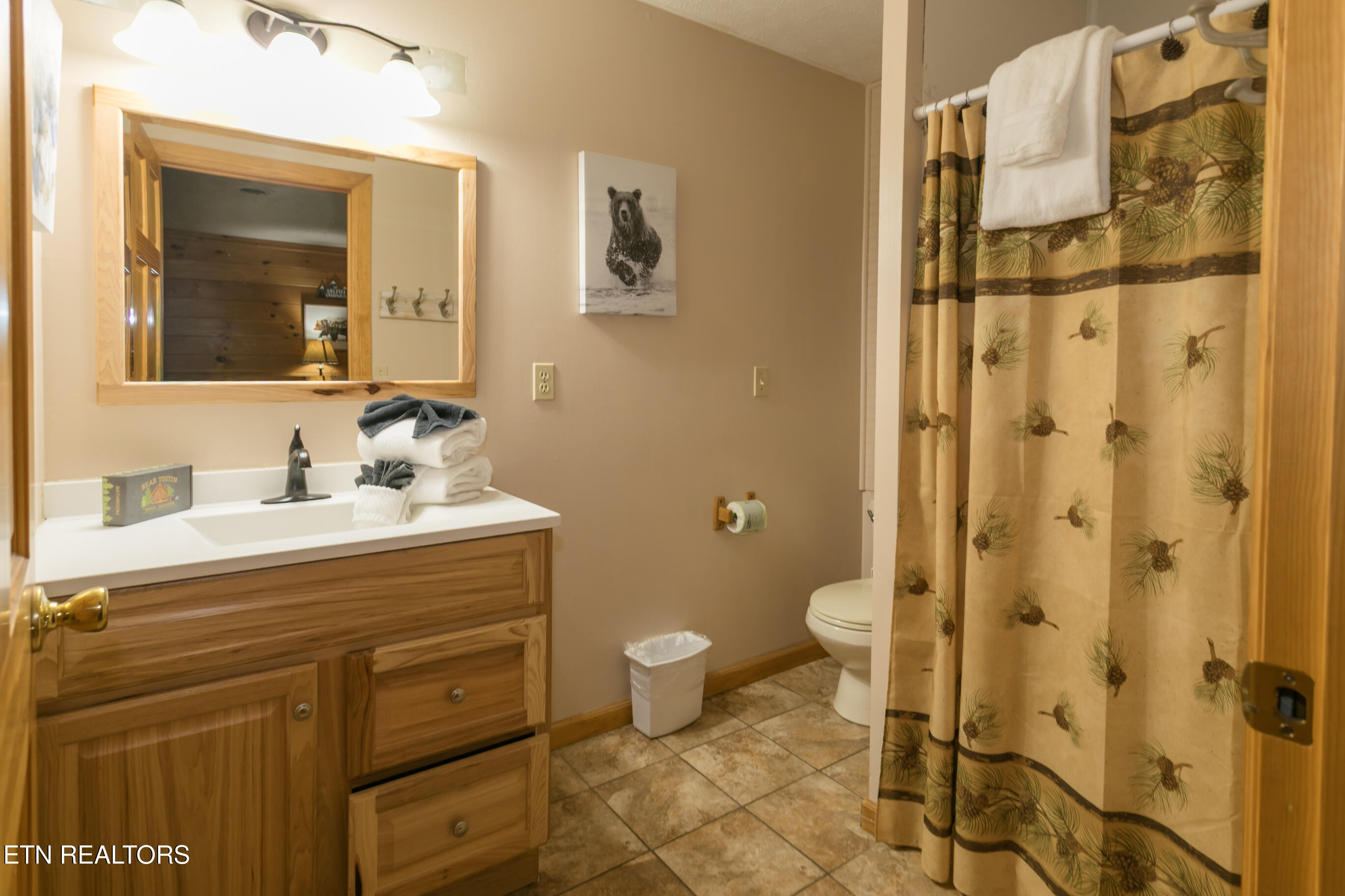 853 Lloyd Huskey Road Pigeon Forge, TN 37863 - Photo 17 of 34 2B4A7464