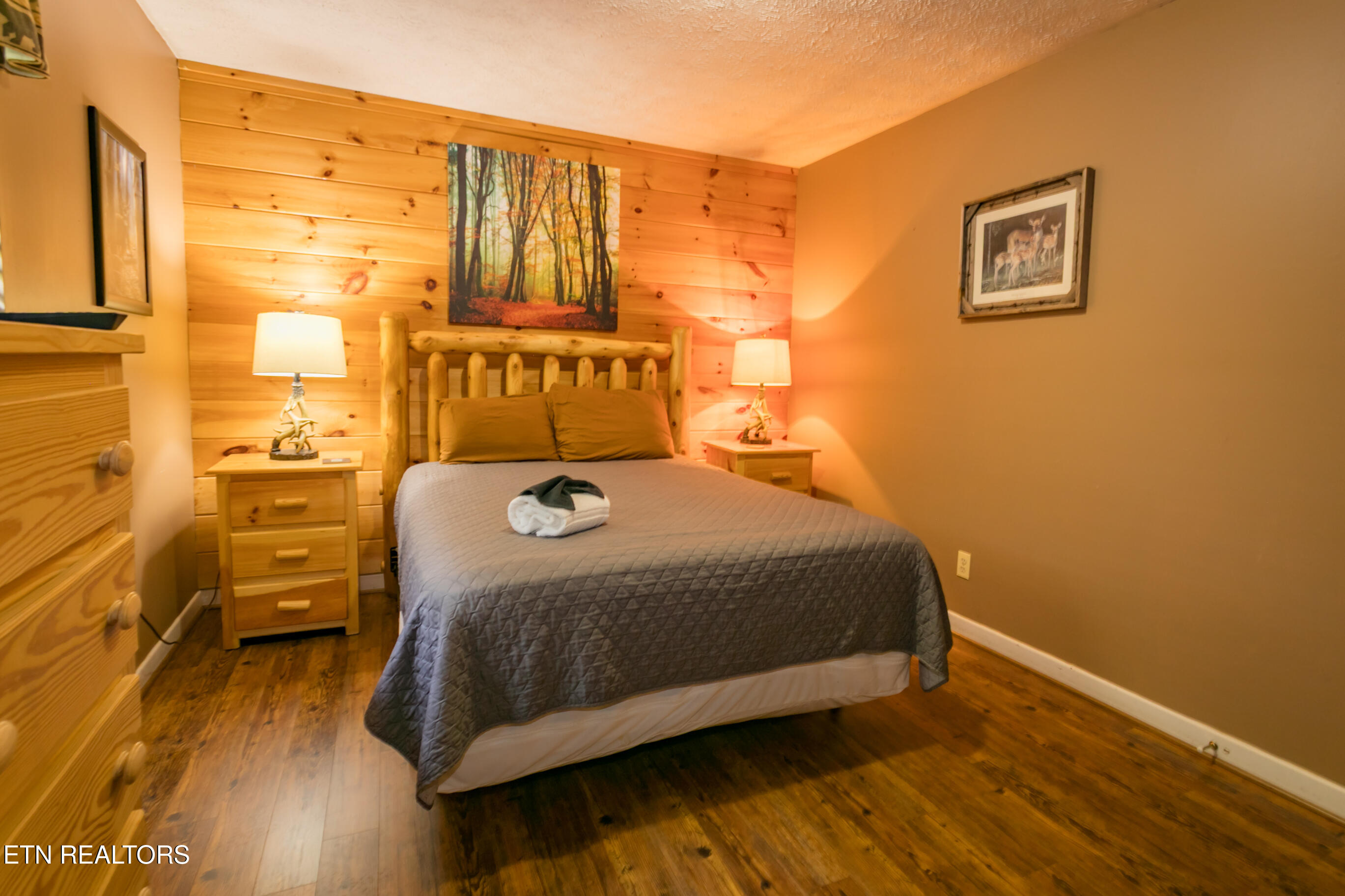 853 Lloyd Huskey Road Pigeon Forge, TN 37863 - Photo 24 of 34 2B4A7449