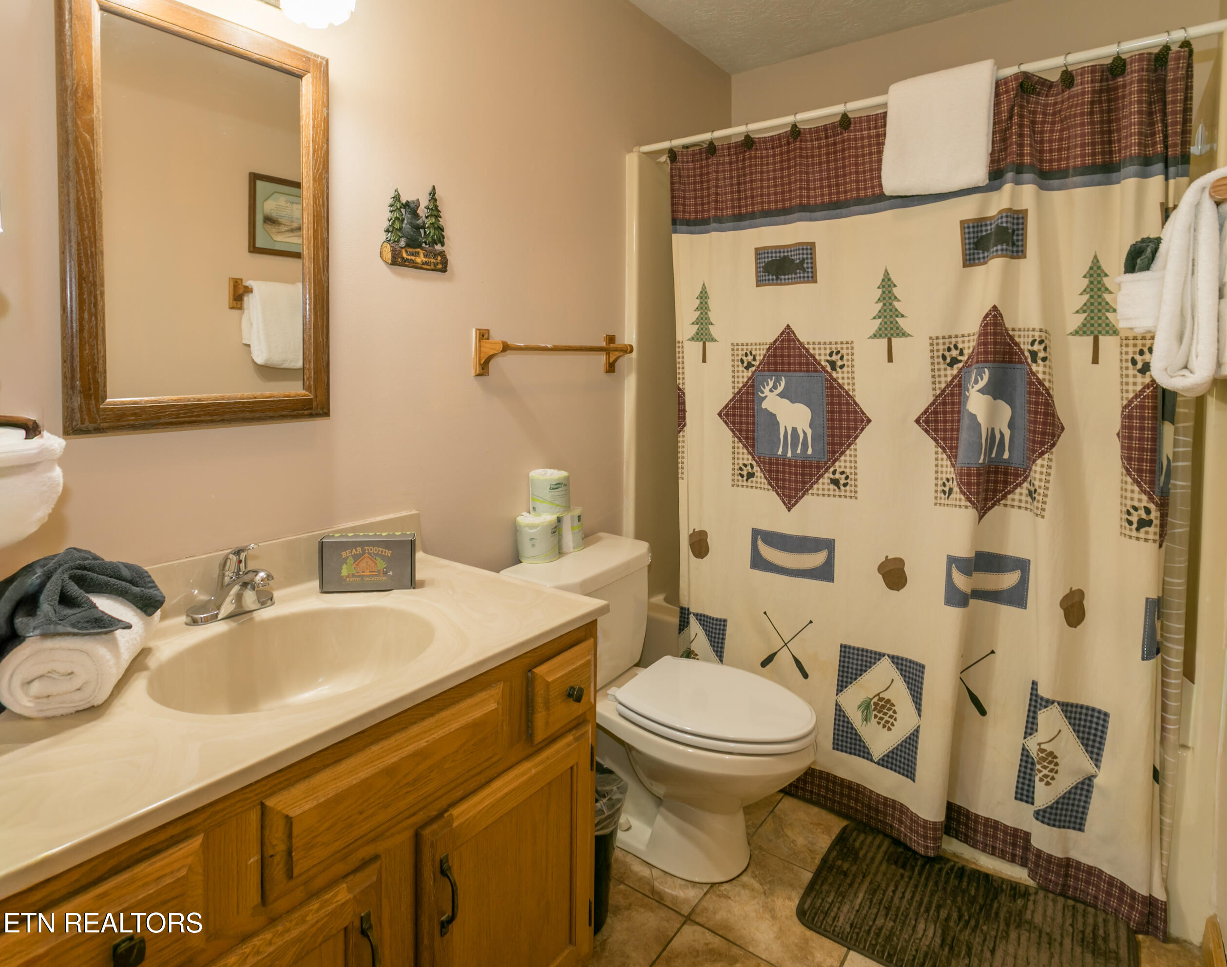 853 Lloyd Huskey Road Pigeon Forge, TN 37863 - Photo 26 of 34 2B4A7443