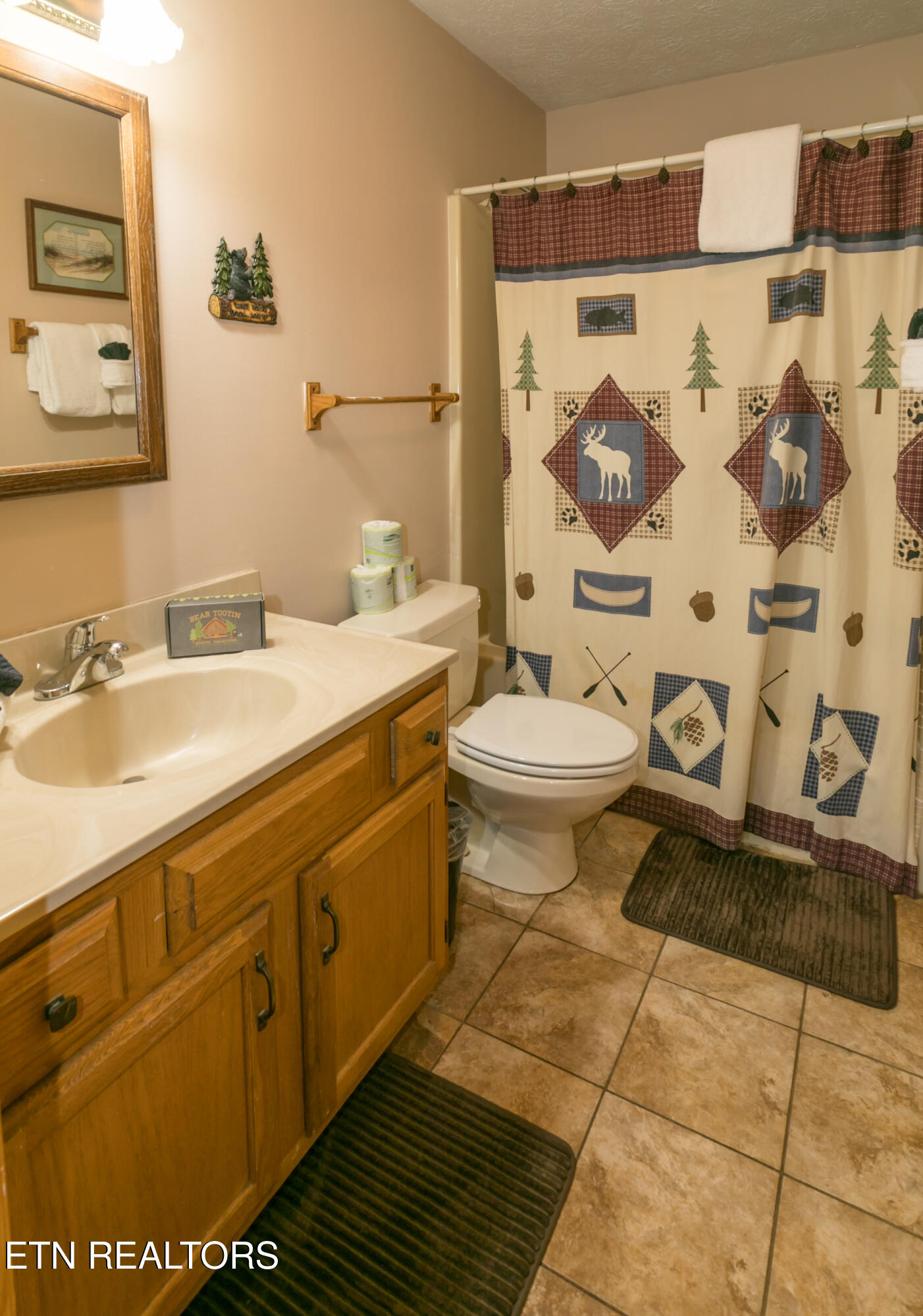 853 Lloyd Huskey Road Pigeon Forge, TN 37863 - Photo 27 of 34 2B4A7442