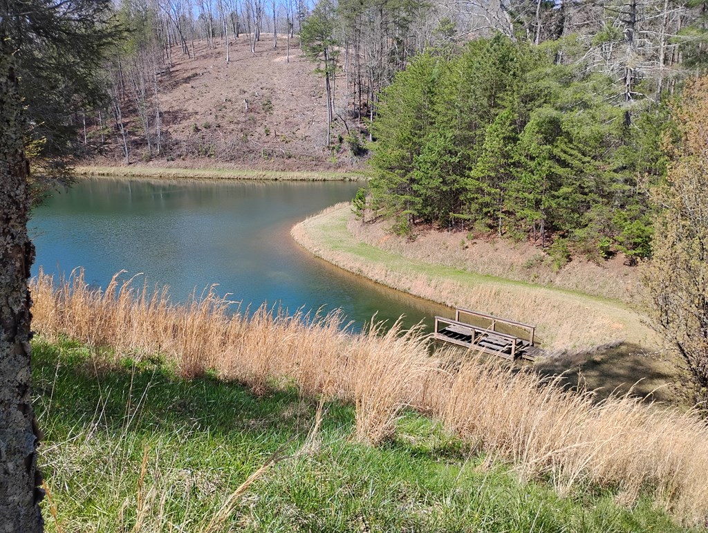 1539 Chopped Oak Road Ellijay, GA 30540 - Photo 3 of 45