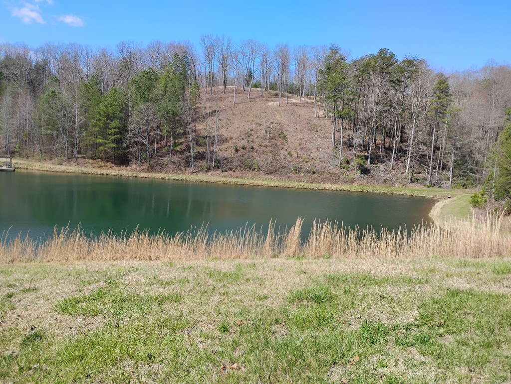 1539 Chopped Oak Road Ellijay, GA 30540 - Photo 6 of 45