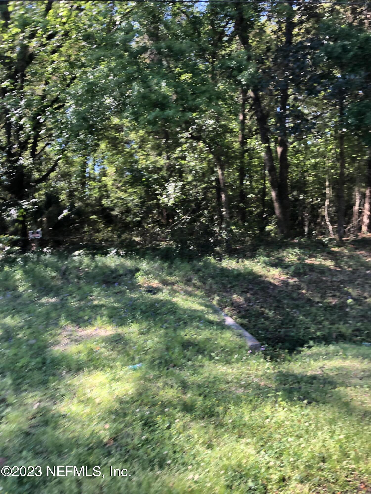 3046 Capper Road Jacksonville, FL 32218 - Photo 3 of 8 a view of a lush green space