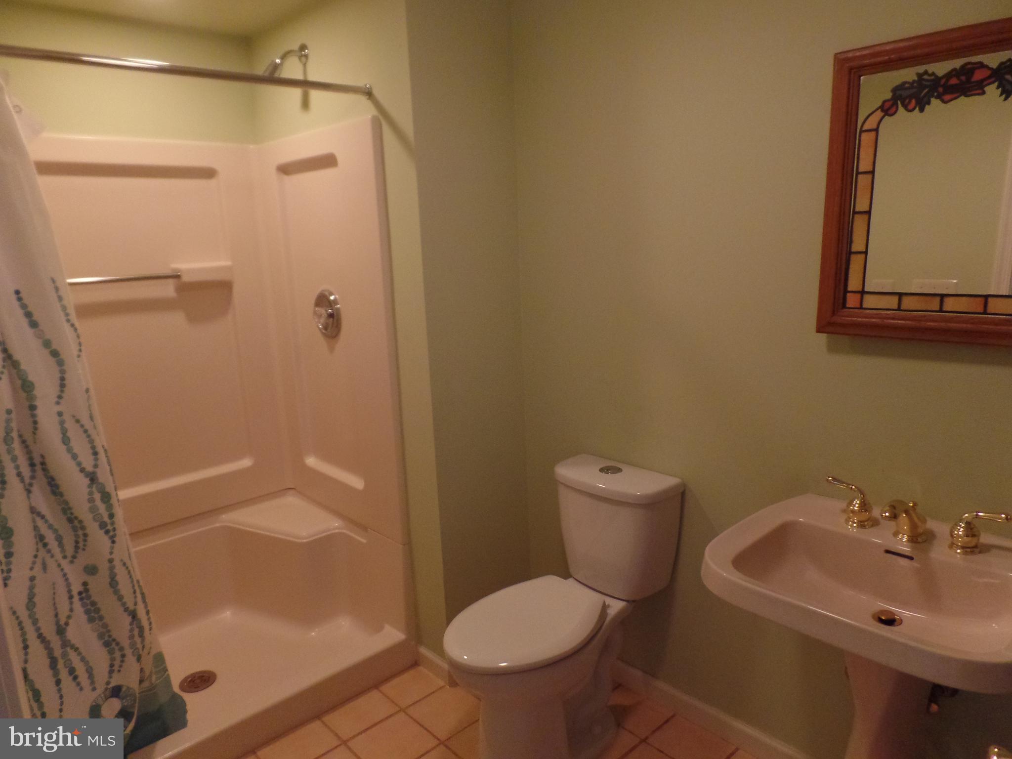 524 Media Line Road Newtown Square, PA 19073 - Photo 21 of 38 Lower level full bath