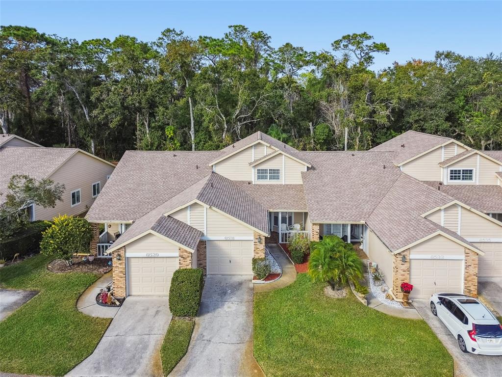 6531 Remus Drive New Port Richey, FL 34653 - Photo 29 of 39 a aerial view of a house with a yard