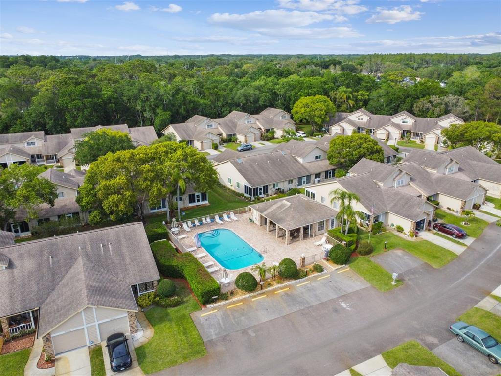 6531 Remus Drive New Port Richey, FL 34653 - Photo 38 of 39 an aerial view of a house with a garden