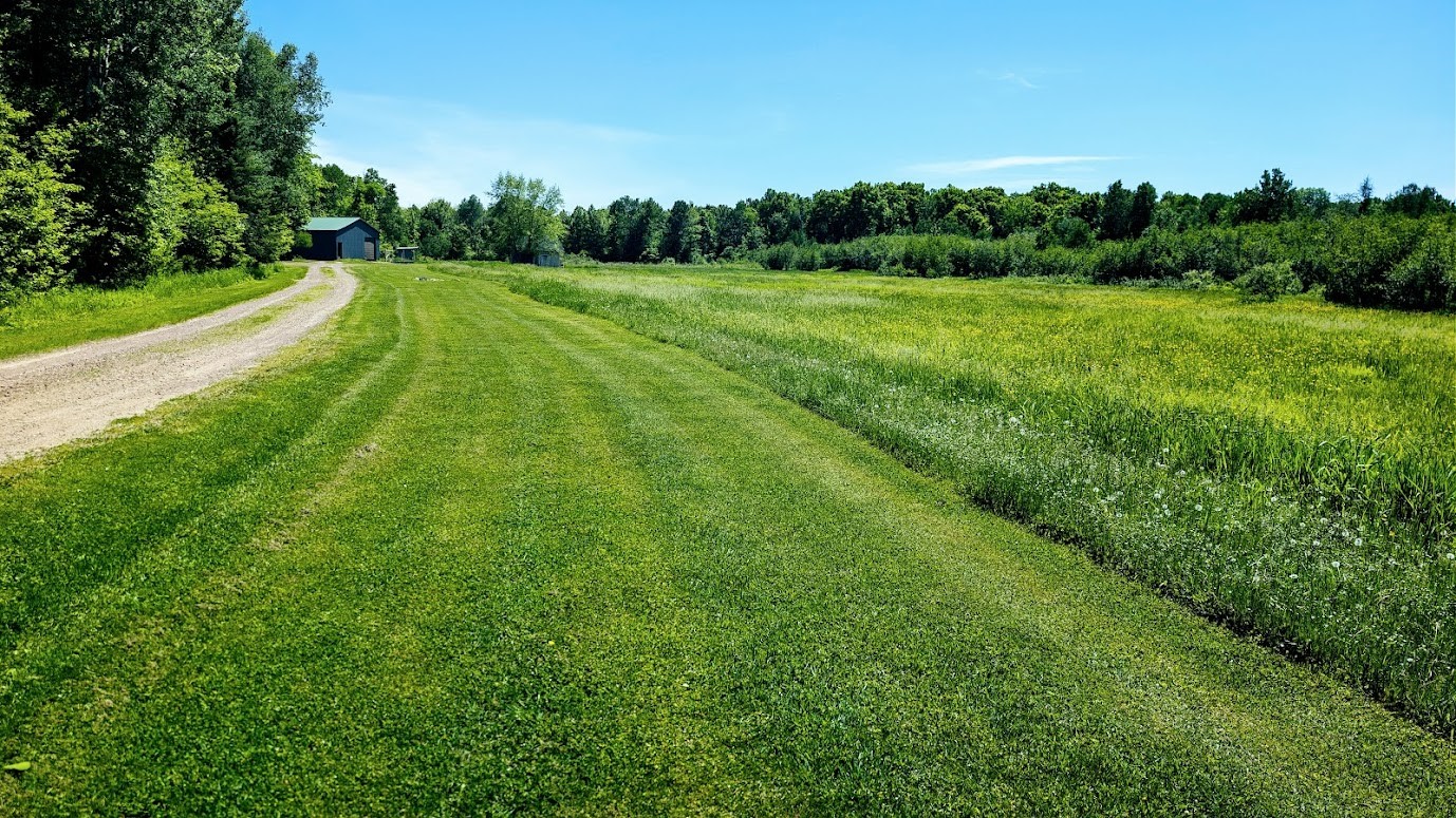 W4241 Walrath Road Glen Flora, WI 54526 - Photo 41 of 60