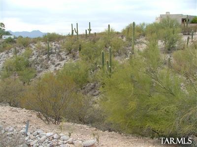 3405 East River Road Tucson, AZ 85718 - Photo 1 of 12 Gallery Image 1