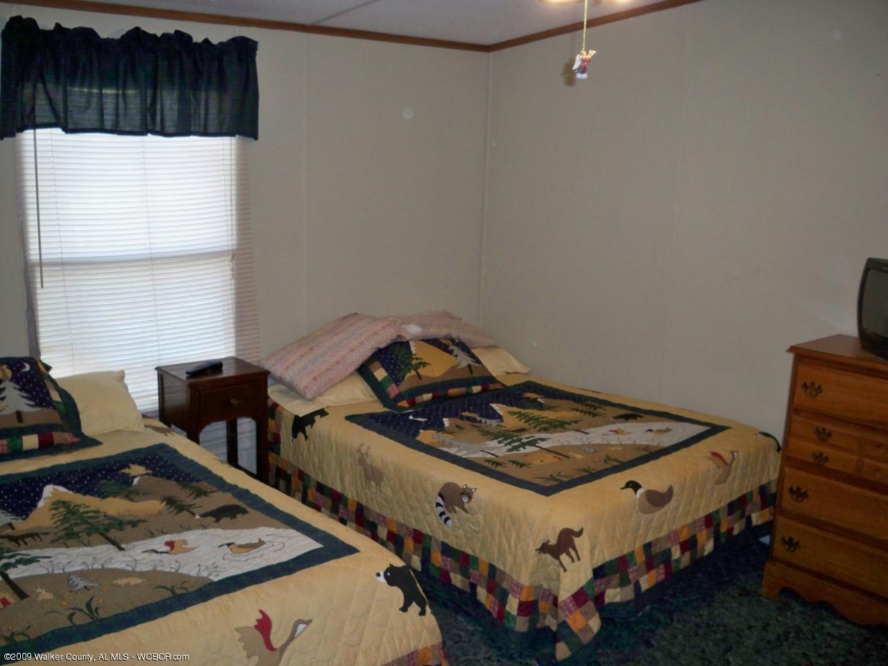 444 Doe Hollow Road Double Springs, AL 35553 - Photo 8 of 9 Gallery Image 8