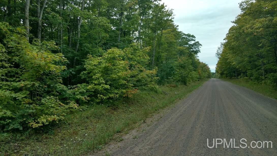 Tbd Wassa Road Calumet, MI 49913 - Photo 11 of 12