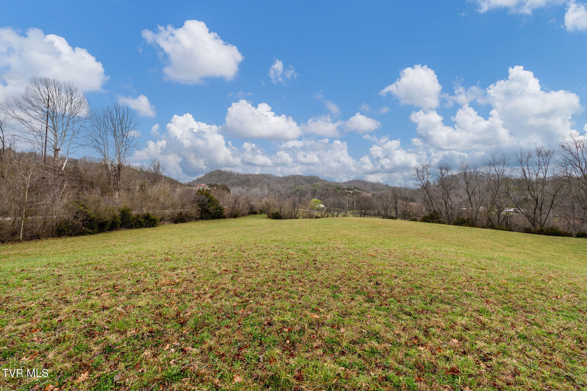 Tbd Piney Flats Road Watauga, TN 37694 - Photo 31 of 60 DSC07382