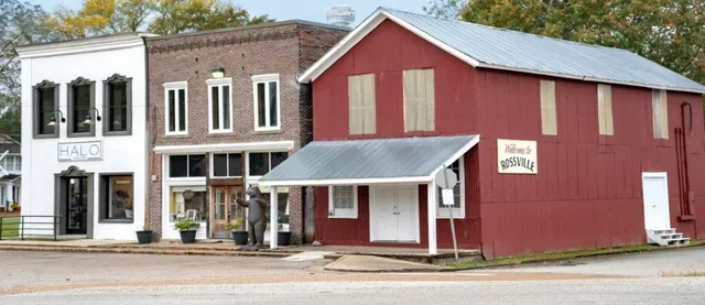 a black and white photo of a house