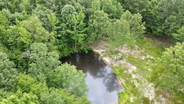 a view of a garden with a lake