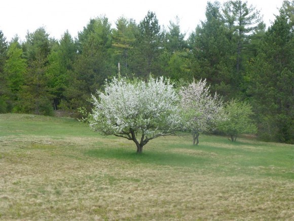 466 Oak Hill Road Enfield, NH 03748 - Photo 1 of 1 Gallery Image 1