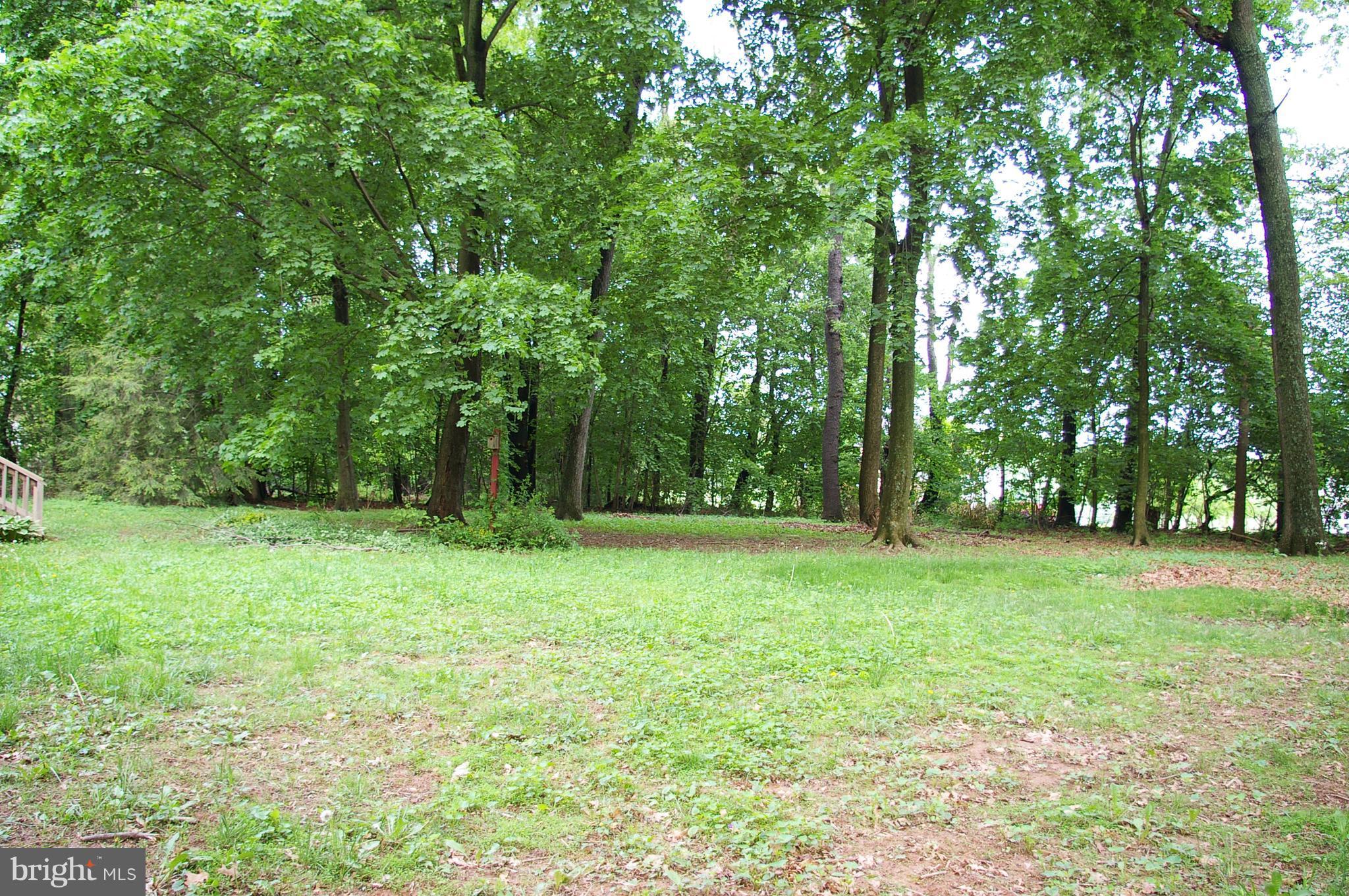 203 Holy Cross Road Street, MD 21154 - Photo 3 of 21 View of Rear Yard