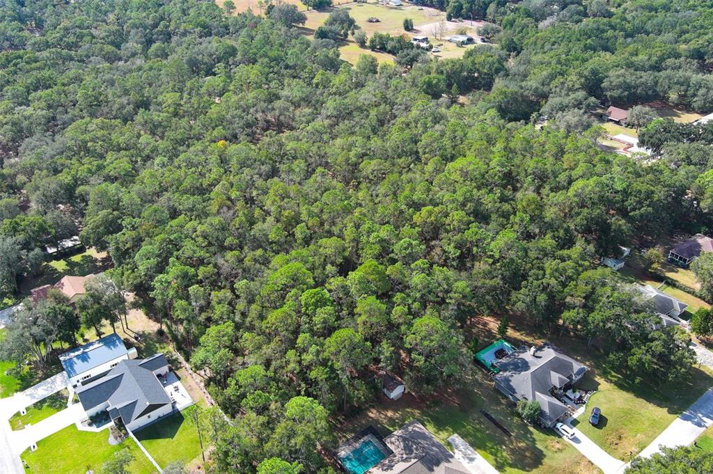 Rolling Ares Road West Lady Lake, FL 32159 - Photo 14 of 21 an aerial view of residential house with outdoor space and trees all around