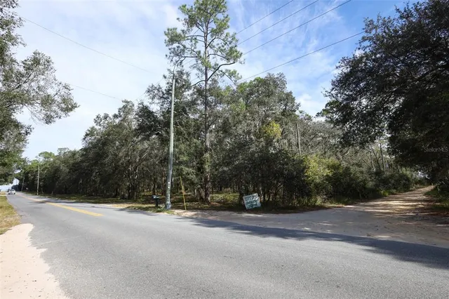 a view of road with trees