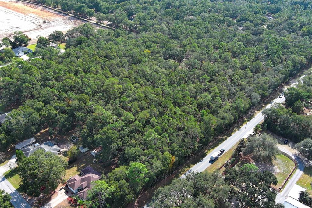 Rolling Ares Road West Lady Lake, FL 32159 - Photo 10 of 21 a view of a forest with a tree