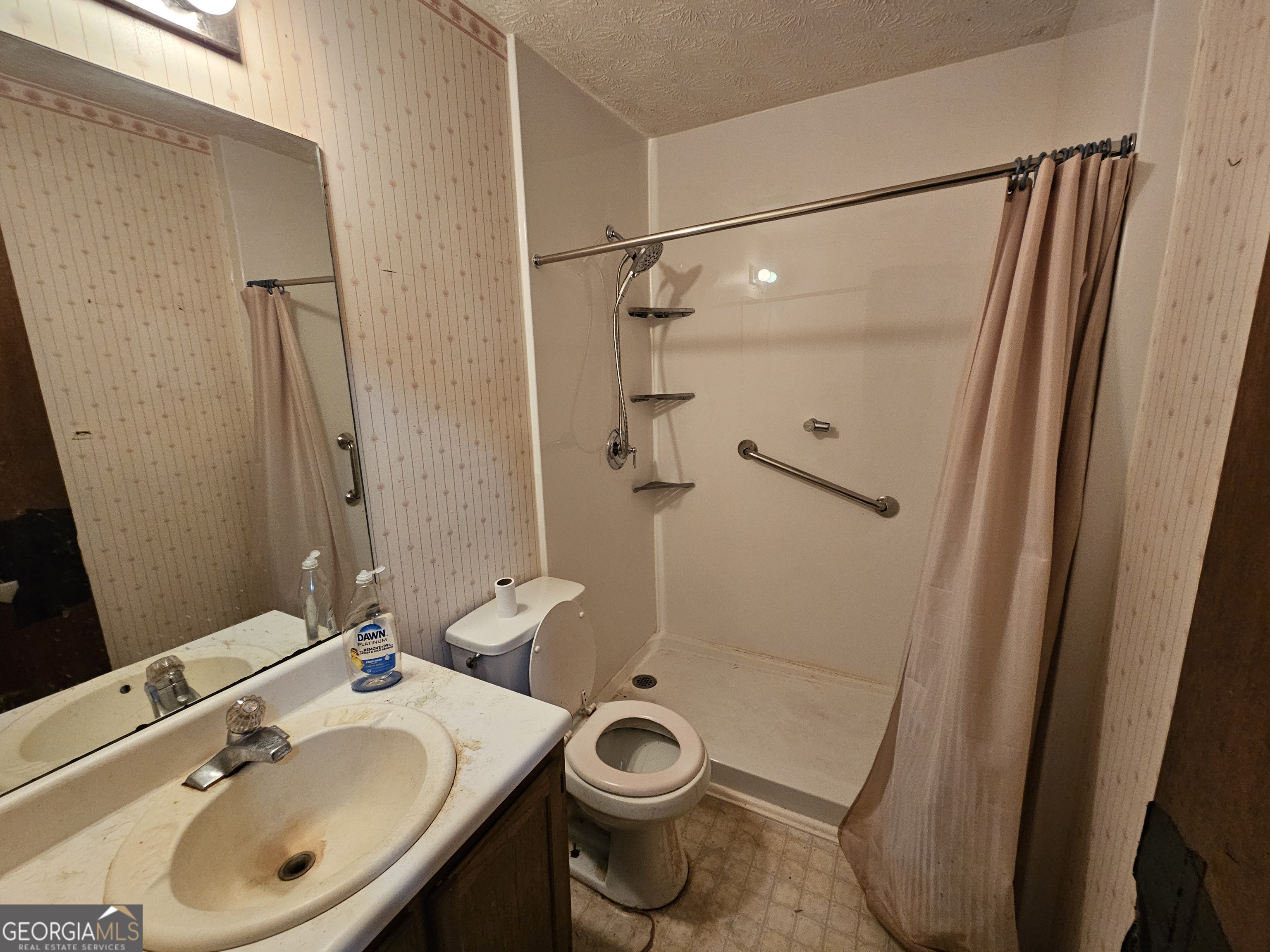 1596 Bonanza Church Road Jonesboro, GA 30236 - Photo 10 of 30 a bathroom with a sink a toilet and shower a mirror