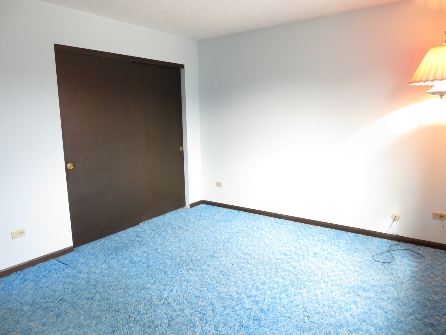 1107 South Raven Road Shorewood, IL 60404 - Photo 19 of 26
