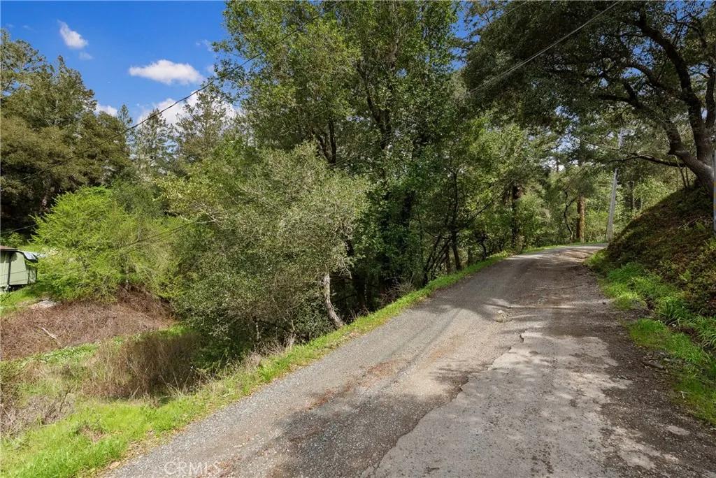 305 Resaca Forest Knolls, CA 94933 - Photo 12 of 21 a view of a pathway both side of yard
