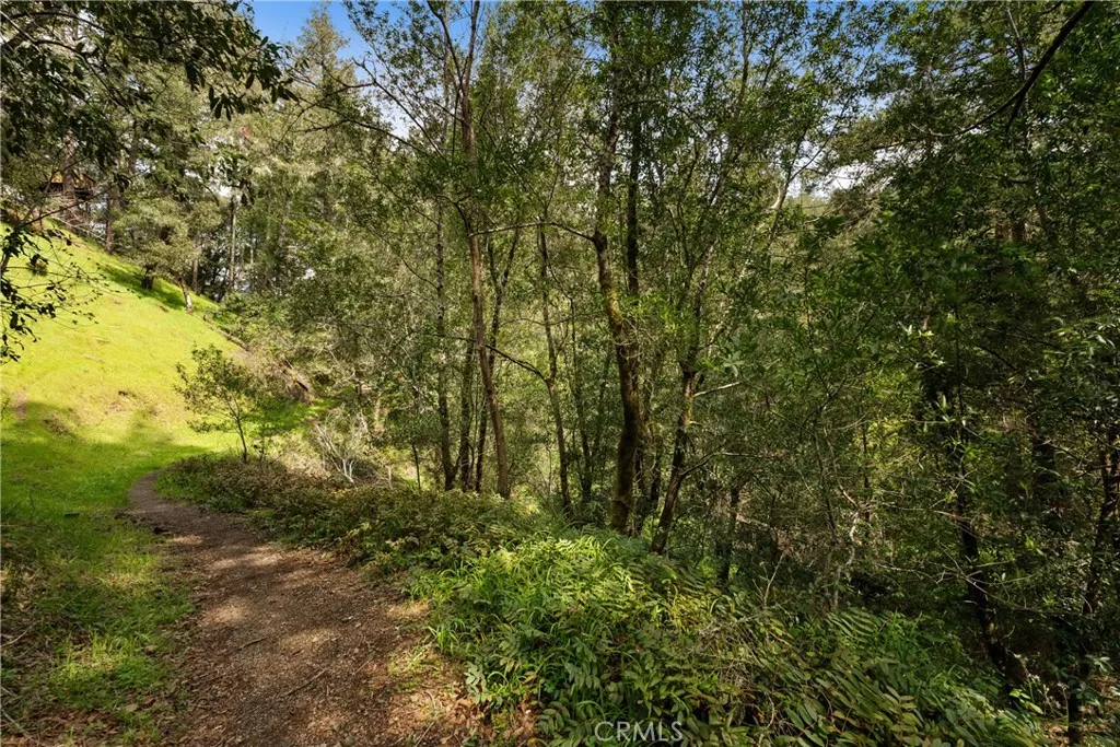305 Resaca Forest Knolls, CA 94933 - Photo 15 of 21 a view of a yard