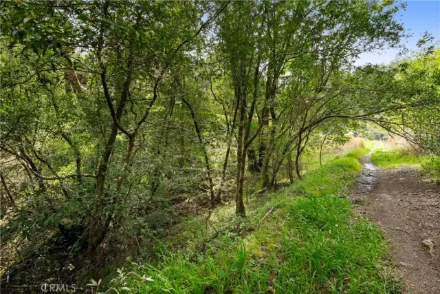 a view of a street view