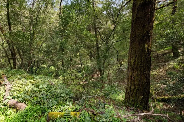 $40,000 | 305 Resaca, Forest Knolls, CA 94933