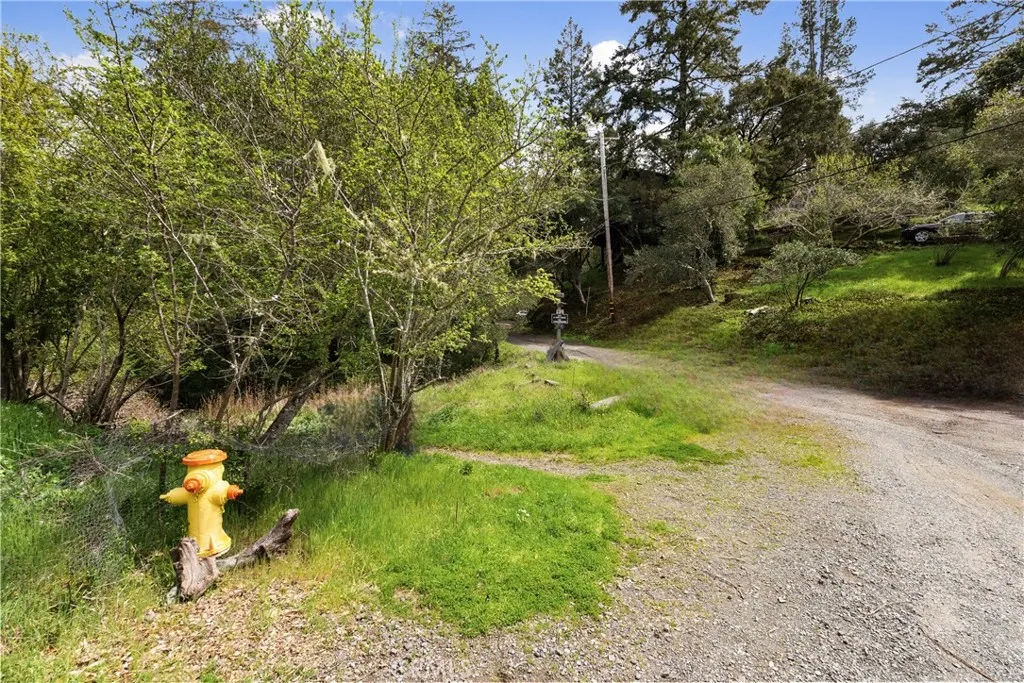 305 Resaca Forest Knolls, CA 94933 - Photo 4 of 21 a view of a yard